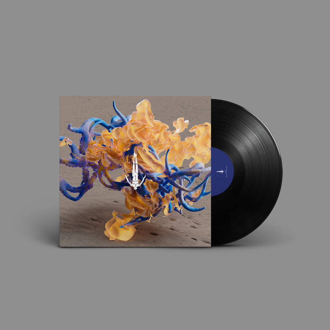 Fideles - Night After Night